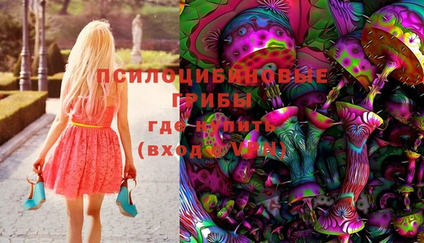 соль ск Пересвет