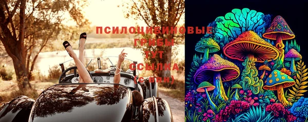 тгк Абинск