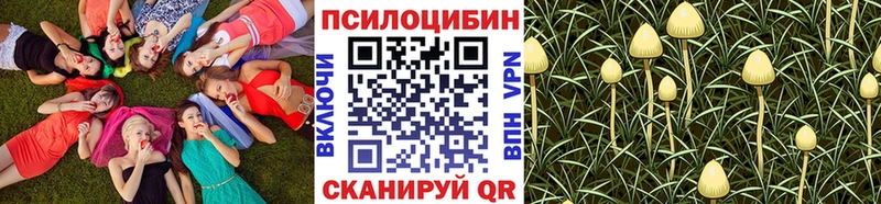Галлюциногенные грибы мицелий Никольское
